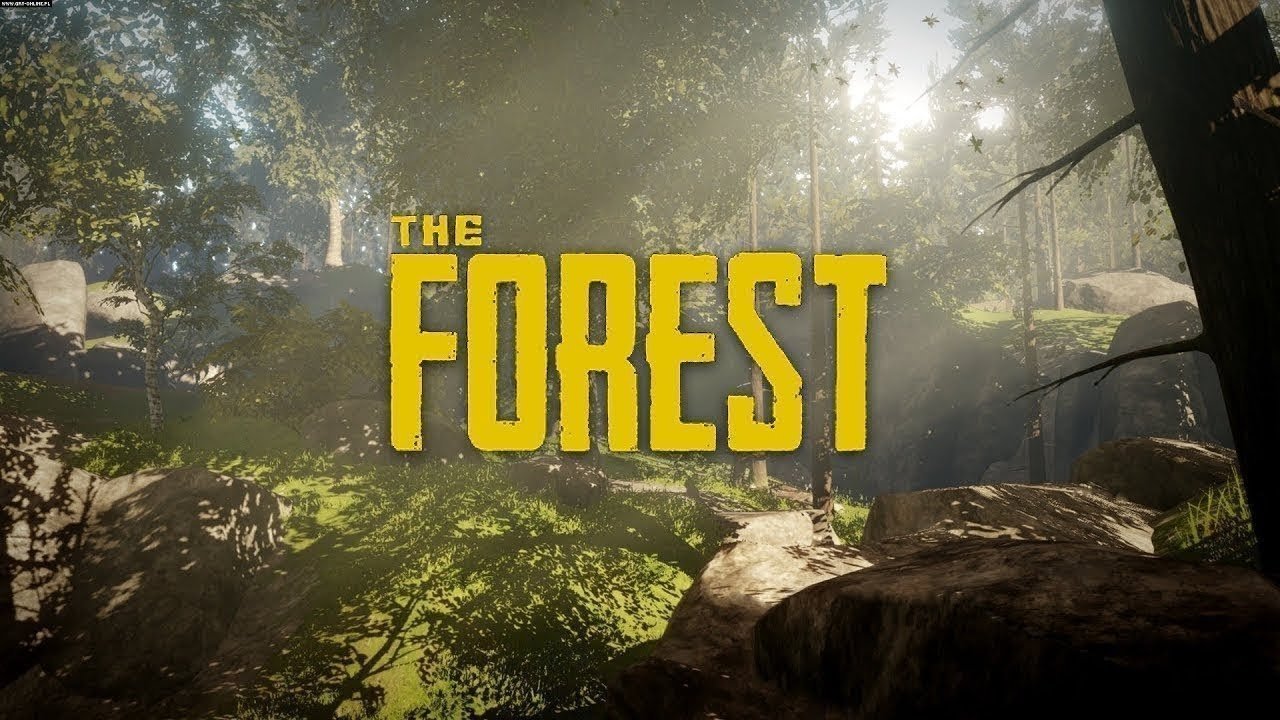 ✅Forest✅И 🎁 База игр